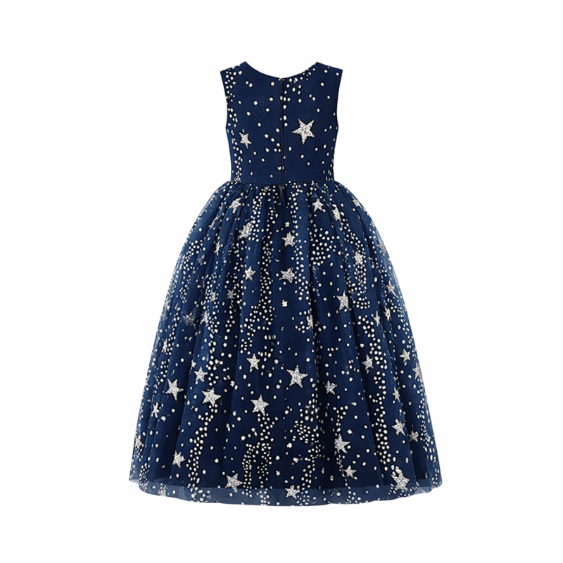 Starry Night Mesh Long Dress